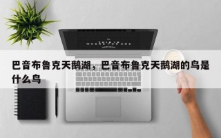 巴音布鲁克天鹅湖，巴音布鲁克天鹅湖的鸟是什么鸟