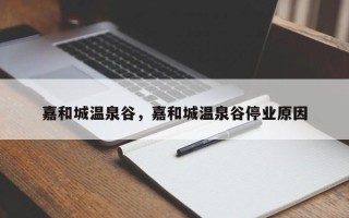 嘉和城温泉谷，嘉和城温泉谷停业原因