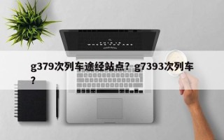 g379次列车途经站点？g7393次列车？