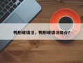 鸭形玻璃注，鸭形玻璃注简介？