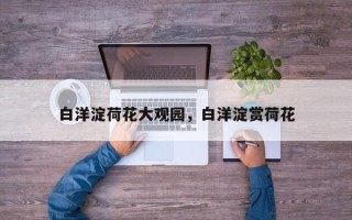 白洋淀荷花大观园，白洋淀赏荷花