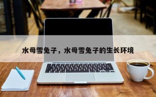 水母雪兔子，水母雪兔子的生长环境