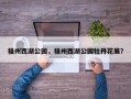 福州西湖公园，福州西湖公园牡丹花展？
