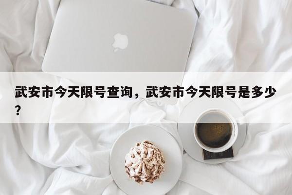 武安市今天限号查询，武安市今天限号是多少？-第1张图片-潇倩百科