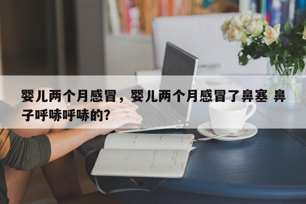 婴儿两个月感冒，婴儿两个月感冒了鼻塞 鼻子呼哧呼哧的？-第1张图片-潇倩百科