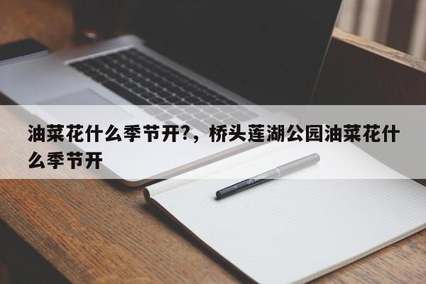 油菜花什么季节开?，桥头莲湖公园油菜花什么季节开-第1张图片-潇倩百科