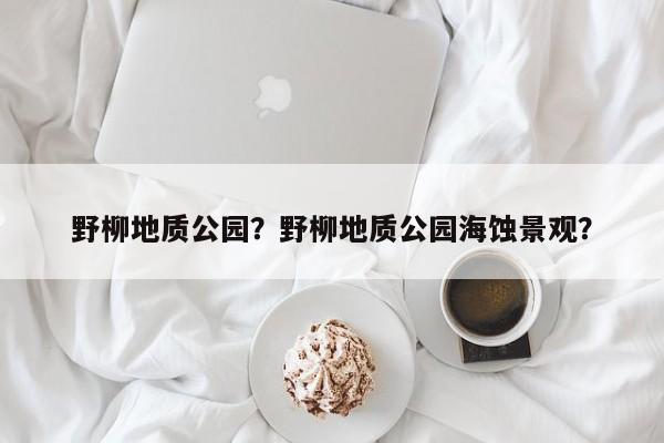野柳地质公园？野柳地质公园海蚀景观？-第1张图片-潇倩百科